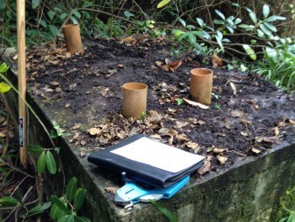 how a septic tank works australia